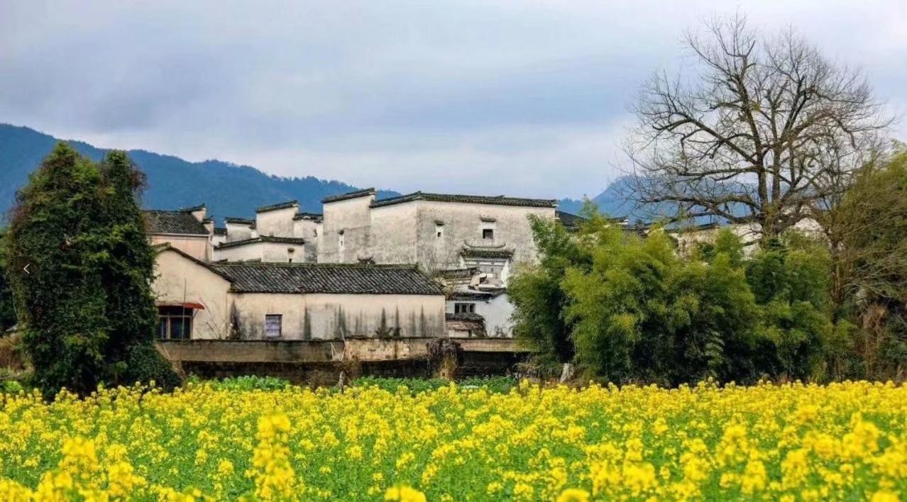 Xishan Wutong Qinyuan Huangshan Exterior photo